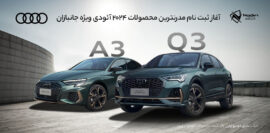 پرداخت ۸۰ درصد سود به جانبازان توسط نادین خودرو